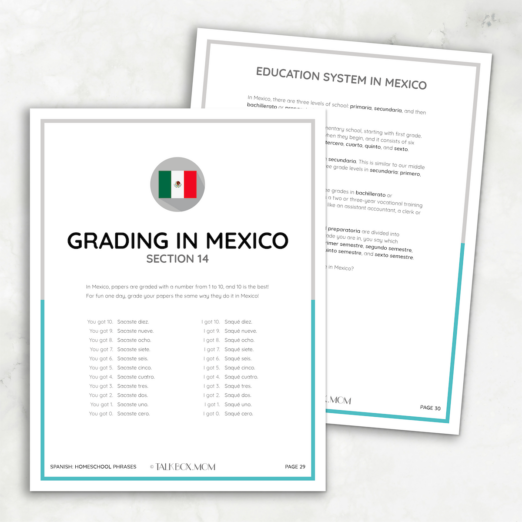 The Homeschool Phrases in Spanish – TalkBox.Mom