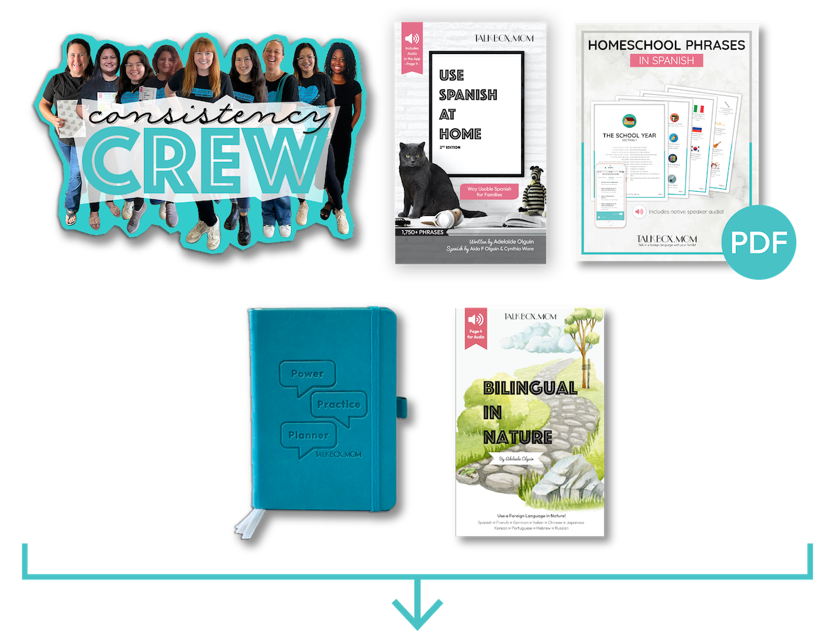 Conference-Goodies-Foreign-Language-May-TalkBoxMom