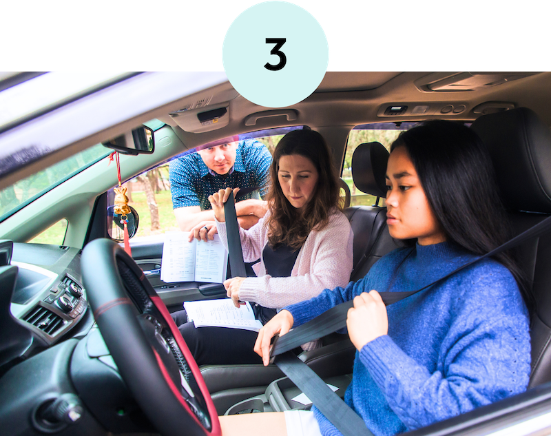 Phrasebook Fluency Seat Belt